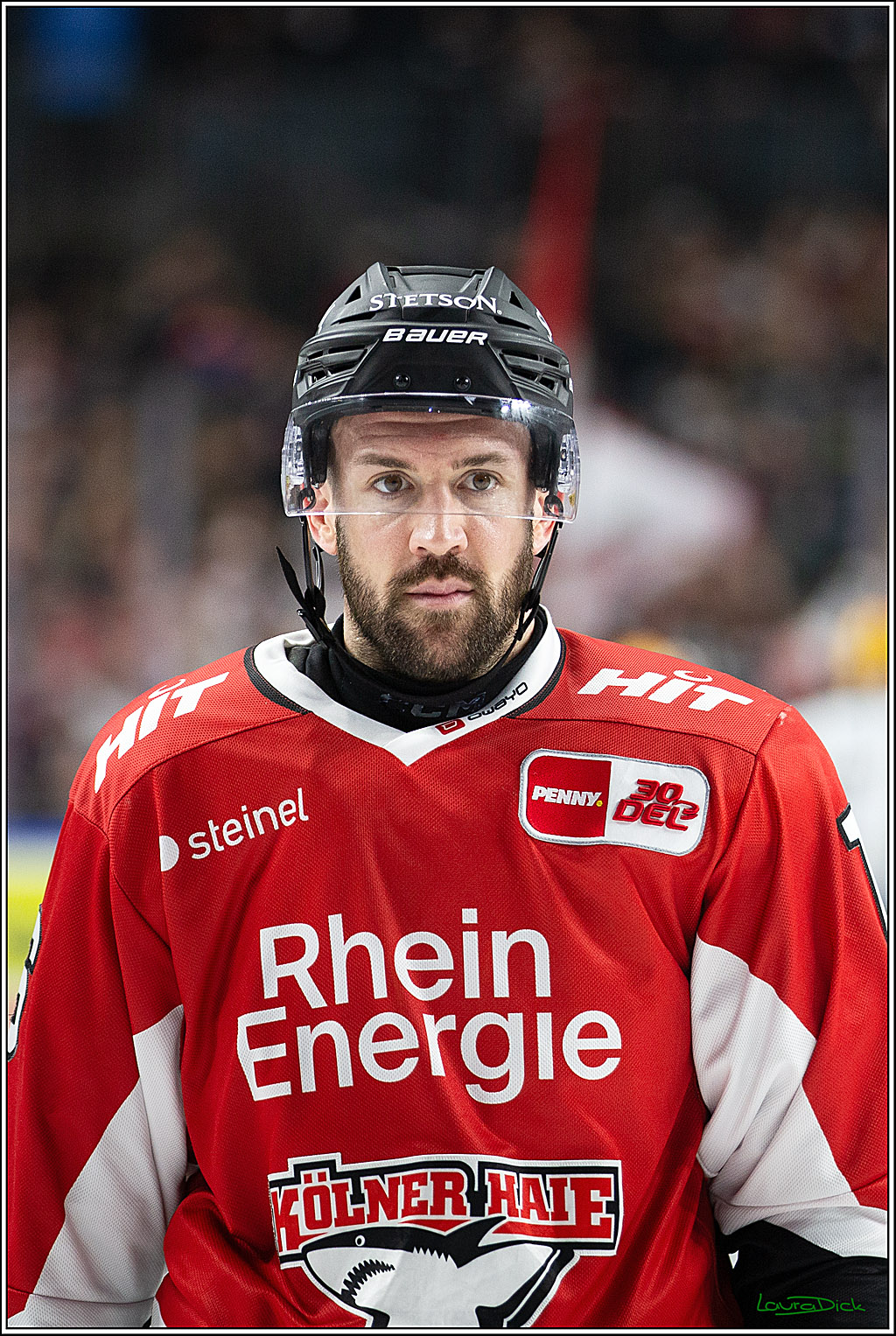 PENNY DEL; Koelner Haie- Fischtown Pinguins Bremerhaven; Koeln, 30.01.2024