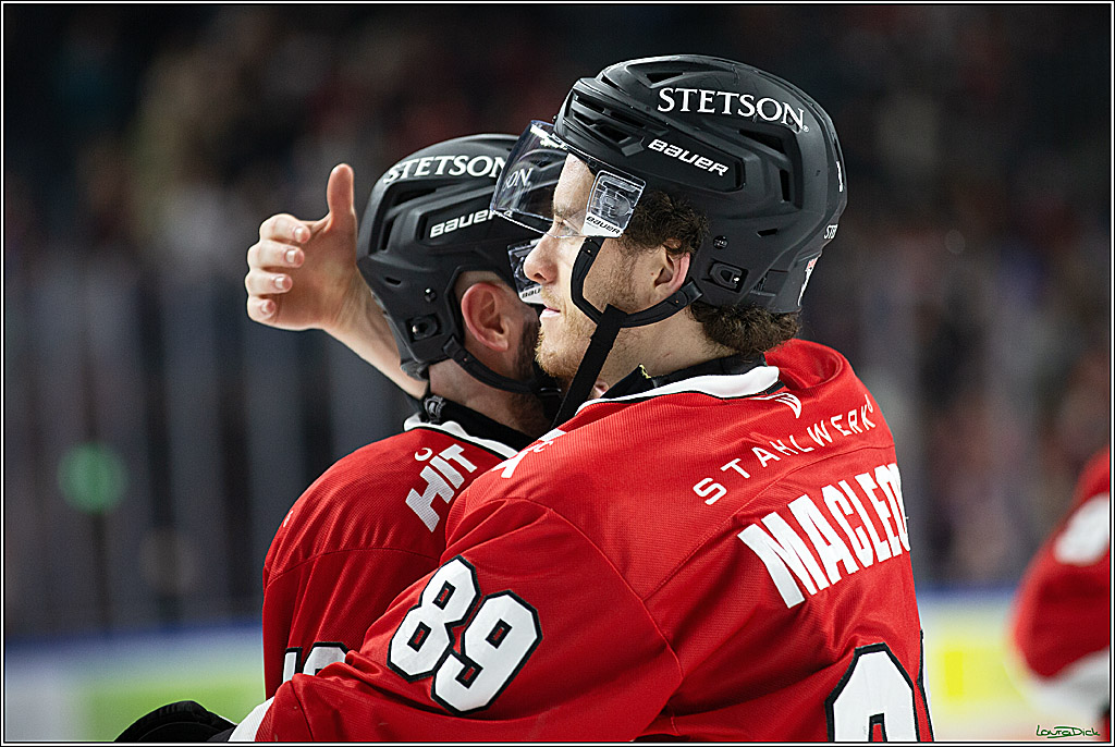 PENNY DEL; Koelner Haie- Fischtown Pinguins Bremerhaven; Koeln, 30.01.2024