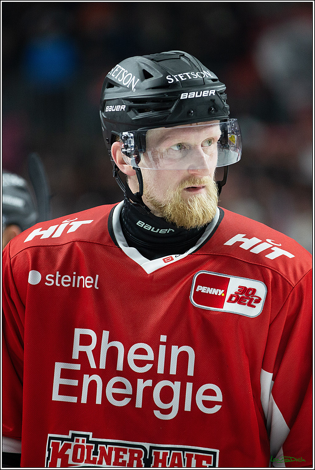 PENNY DEL; Koelner Haie- Fischtown Pinguins Bremerhaven; Koeln, 30.01.2024