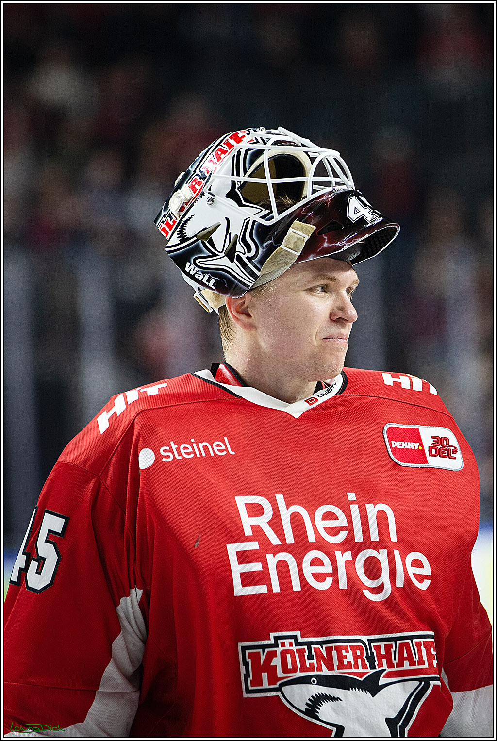PENNY DEL; Koelner Haie- Fischtown Pinguins Bremerhaven; Koeln, 30.01.2024