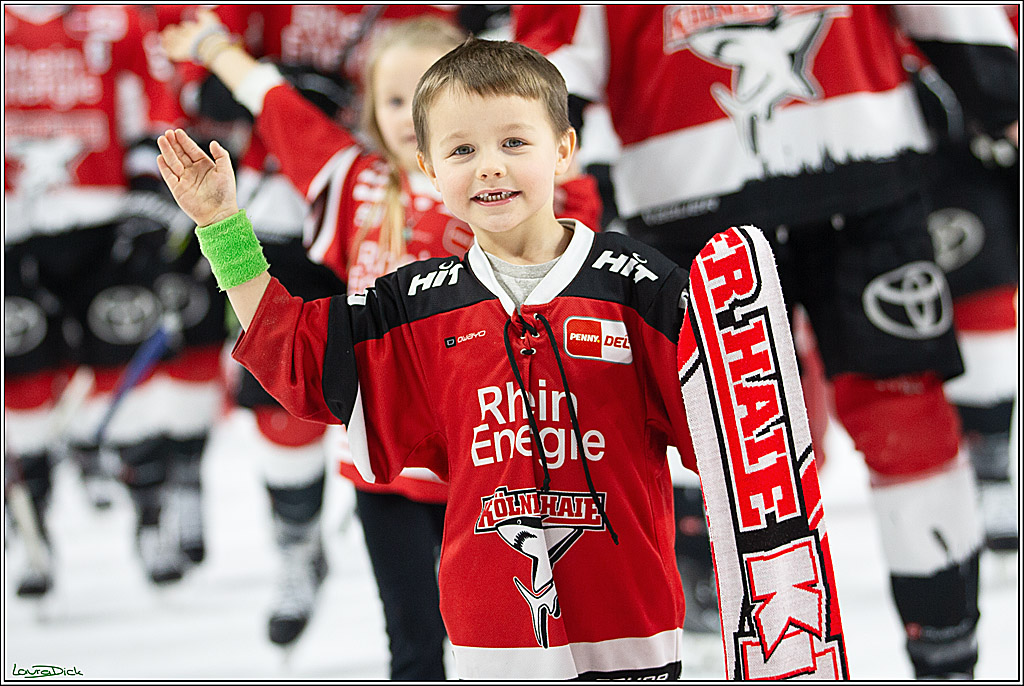 PENNY DEL; Koelner Haie- Fischtown Pinguins Bremerhaven; Koeln, 30.01.2024