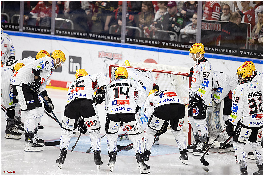 PENNY DEL 1; Kölner Haie - Fischtown Pinguins Bremerhaven; Köln, 30.01.2024