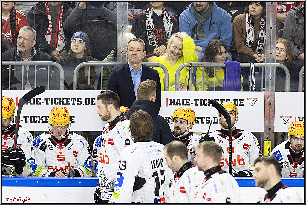 PENNY DEL 1; Kölner Haie - Fischtown Pinguins Bremerhaven; Köln, 30.01.2024