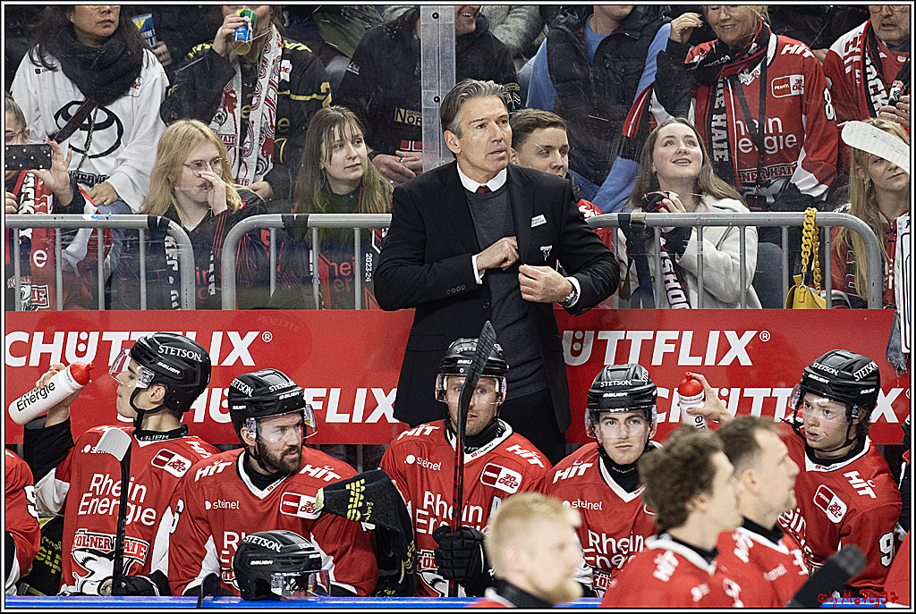 PENNY DEL 1; Kölner Haie - Fischtown Pinguins Bremerhaven; Köln, 30.01.2024