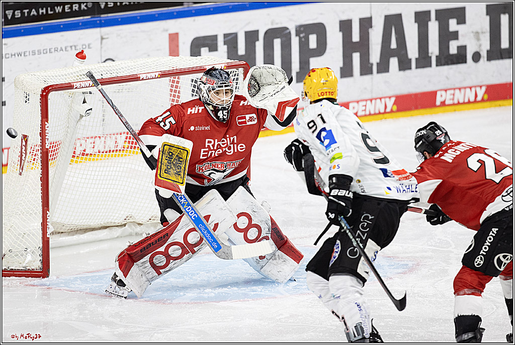 PENNY DEL 1; Kölner Haie - Fischtown Pinguins Bremerhaven; Köln, 30.01.2024