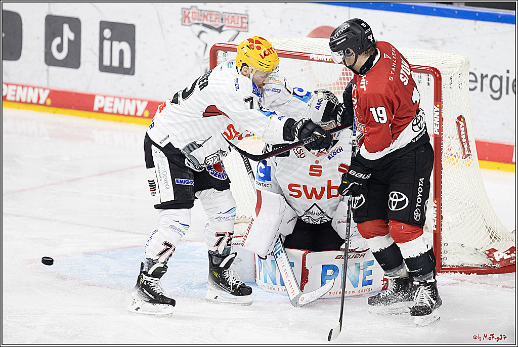 PENNY DEL 1; Kölner Haie - Fischtown Pinguins Bremerhaven; Köln, 30.01.2024