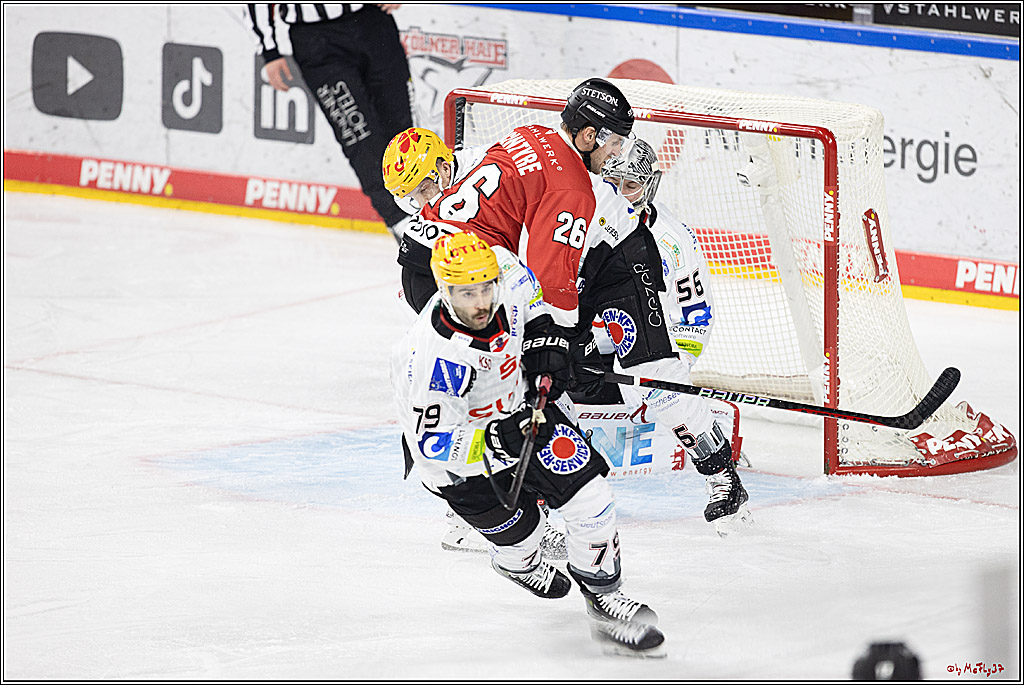 PENNY DEL 1; Kölner Haie - Fischtown Pinguins Bremerhaven; Köln, 30.01.2024