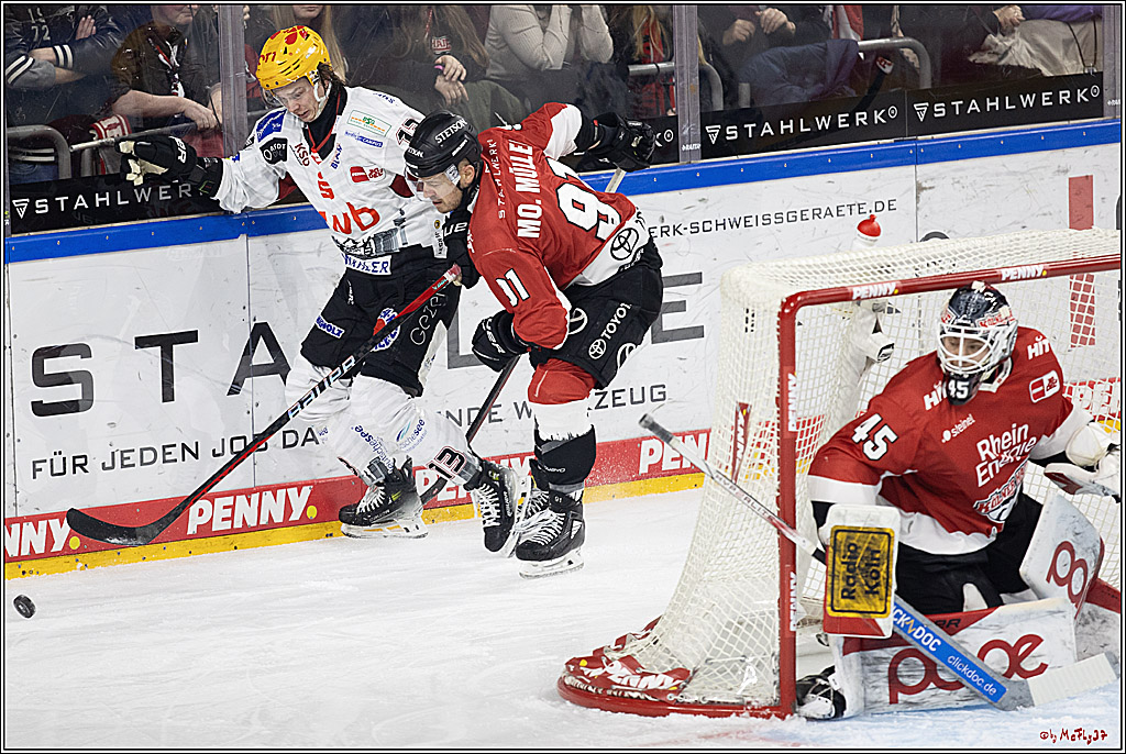 PENNY DEL 1; Kölner Haie - Fischtown Pinguins Bremerhaven; Köln, 30.01.2024
