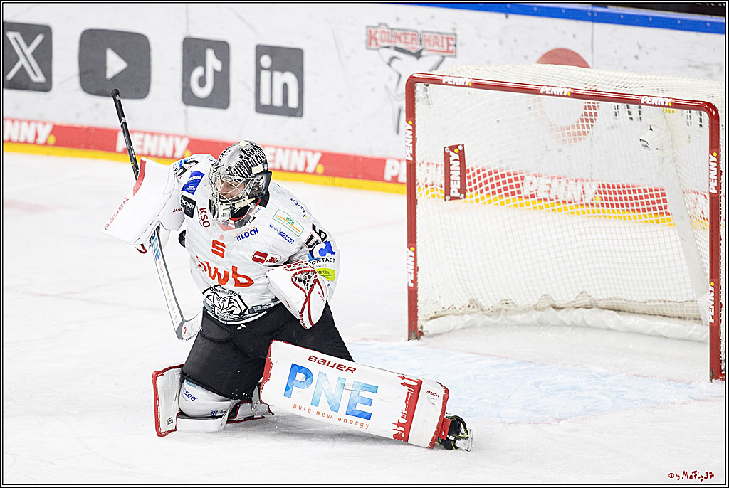 PENNY DEL 1; Kölner Haie - Fischtown Pinguins Bremerhaven; Köln, 30.01.2024
