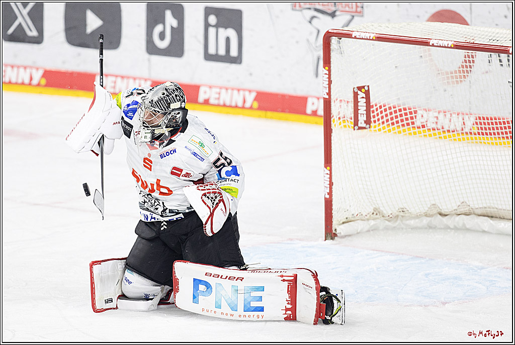 PENNY DEL 1; Kölner Haie - Fischtown Pinguins Bremerhaven; Köln, 30.01.2024