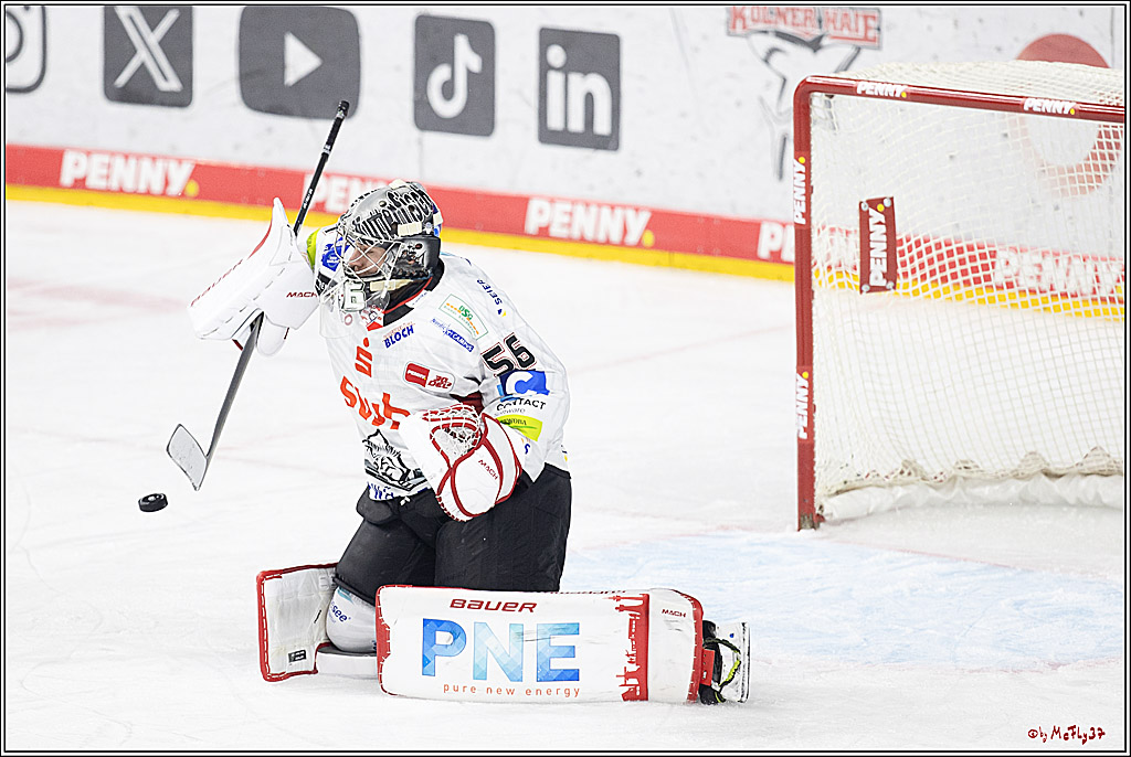 PENNY DEL 1; Kölner Haie - Fischtown Pinguins Bremerhaven; Köln, 30.01.2024