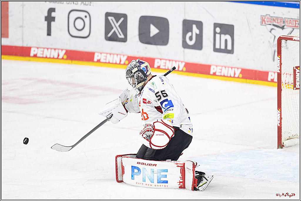 PENNY DEL 1; Kölner Haie - Fischtown Pinguins Bremerhaven; Köln, 30.01.2024