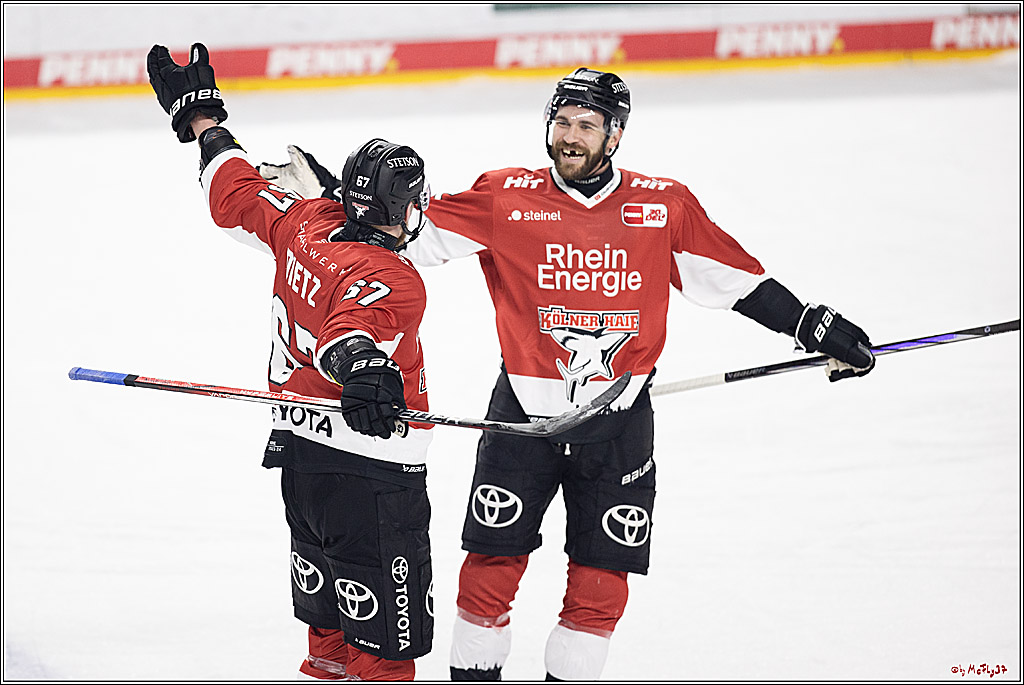 PENNY DEL 1; Kölner Haie - Fischtown Pinguins Bremerhaven; Köln, 30.01.2024