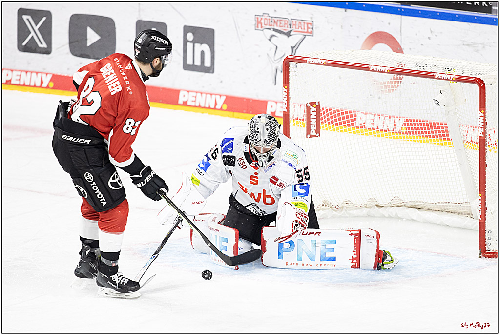 PENNY DEL 1; Kölner Haie - Fischtown Pinguins Bremerhaven; Köln, 30.01.2024