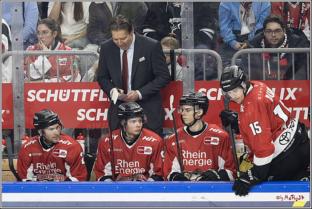 PENNY DEL 1; Kölner Haie - Löwen Frankfurt; Köln, 16.02.2024