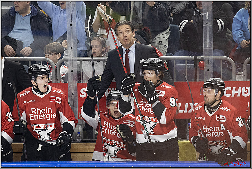 PENNY DEL 1; Kölner Haie - Löwen Frankfurt; Köln, 16.02.2024