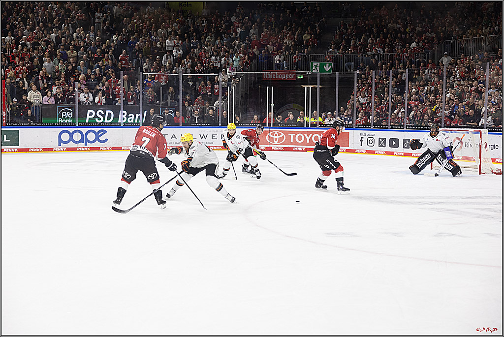 PENNY DEL 1; Kölner Haie - Löwen Frankfurt; Köln, 16.02.2024