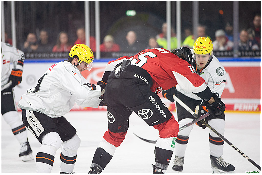 PENNY DEL; Koelner Haie-Loewen Frankfurt; Koeln, 16.02.2024