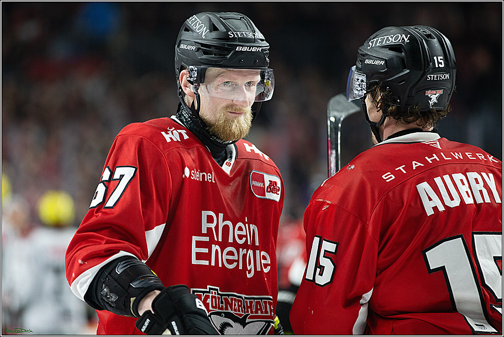 PENNY DEL; Koelner Haie-Loewen Frankfurt; Koeln, 16.02.2024