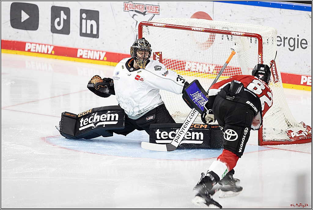 PENNY DEL 1; Kölner Haie - Löwen Frankfurt; Köln, 16.02.2024