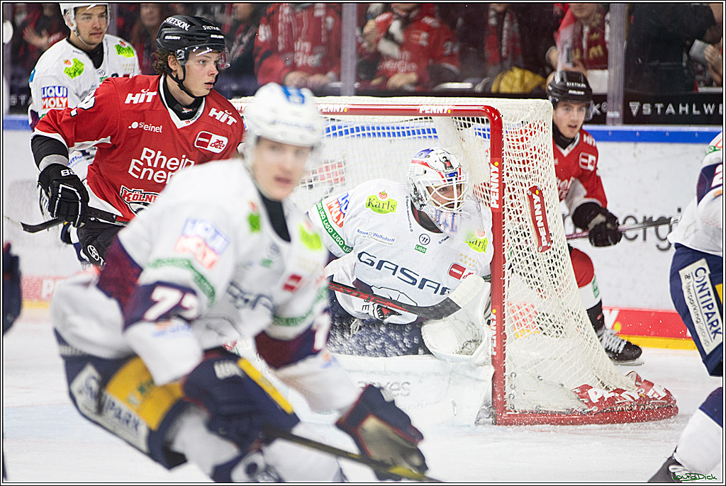 PENNY DEL; Koelner Haie-Eisbaeren Berlin; Koeln, 21.02.2024