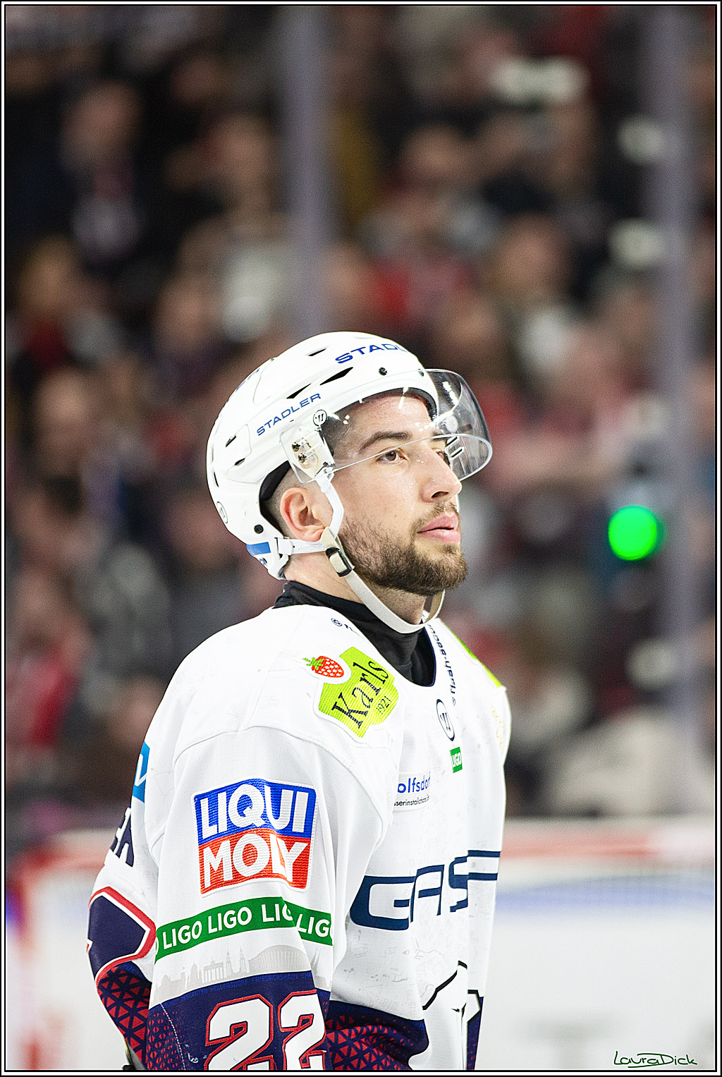 PENNY DEL; Koelner Haie-Eisbaeren Berlin; Koeln, 21.02.2024