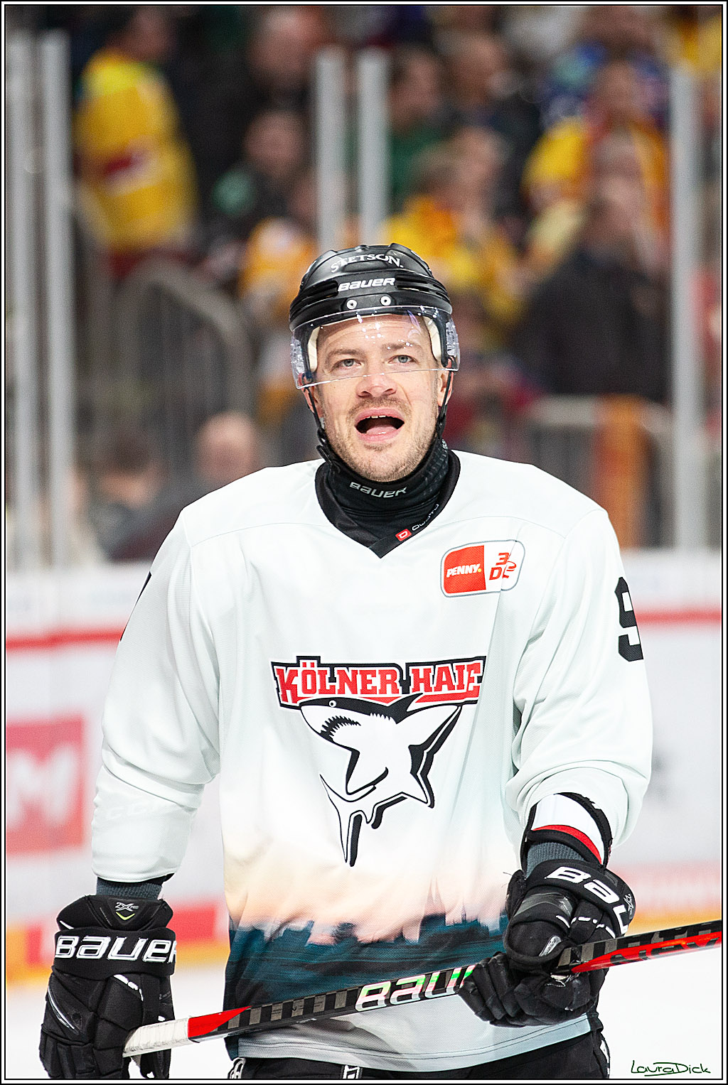 PENNY DEL; Duesseldorfer EG- Koelner Haie; Duesseldorf, 25.02.2024