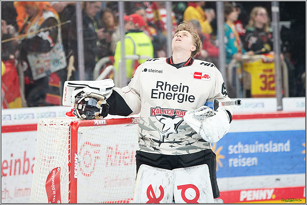 PENNY DEL; Duesseldorfer EG- Koelner Haie; Duesseldorf, 25.02.2024
