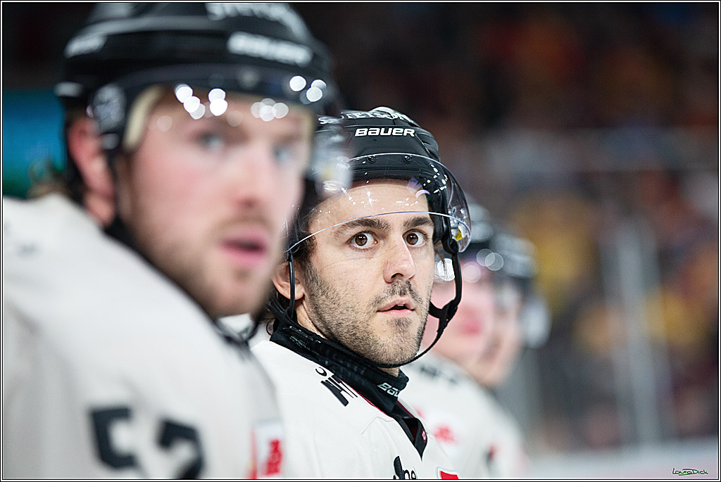 PENNY DEL; Duesseldorfer EG- Koelner Haie; Duesseldorf, 25.02.2024