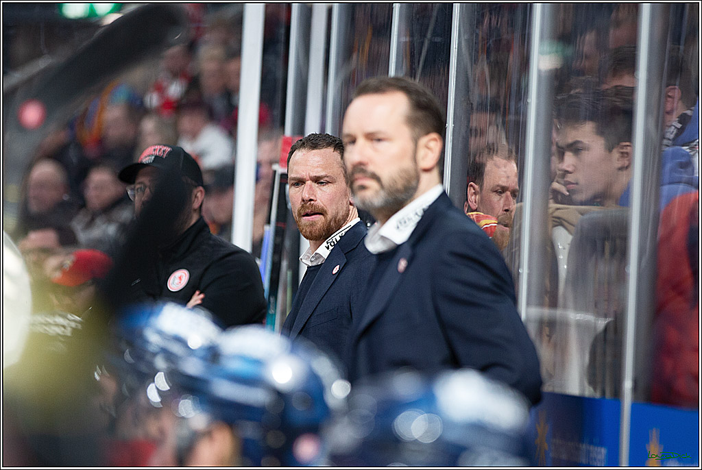 PENNY DEL; Duesseldorfer EG- Koelner Haie; Duesseldorf, 25.02.2024
