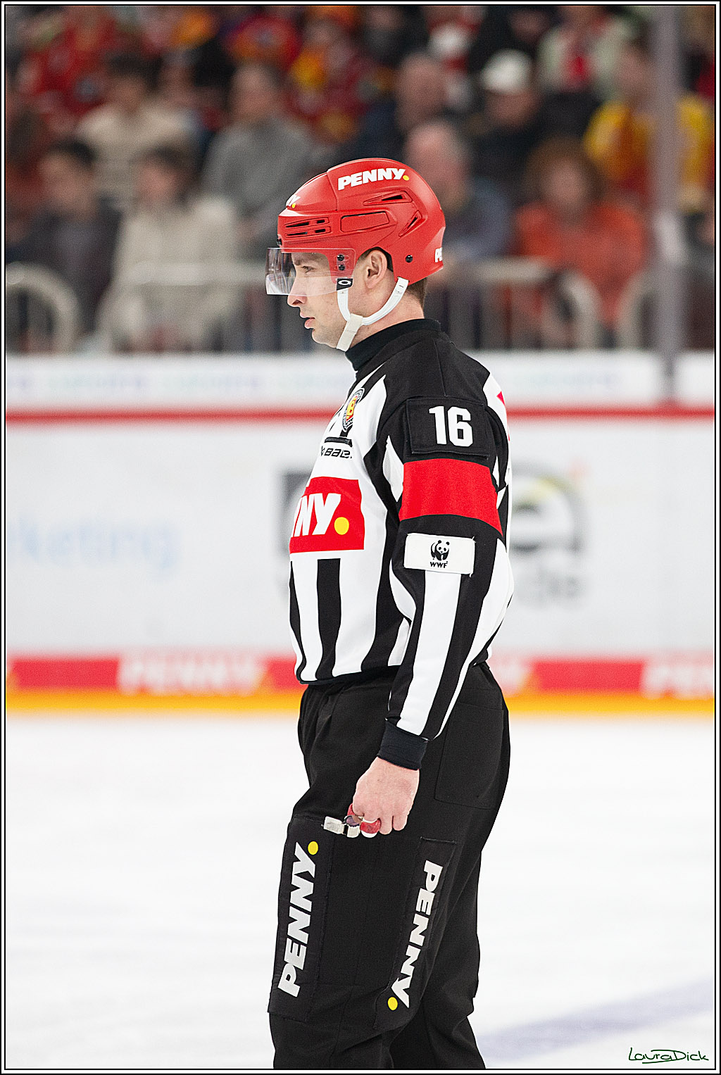 PENNY DEL; Duesseldorfer EG- Koelner Haie; Duesseldorf, 25.02.2024