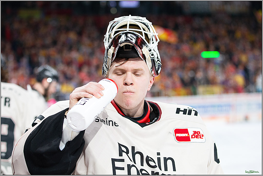 PENNY DEL; Duesseldorfer EG- Koelner Haie; Duesseldorf, 25.02.2024