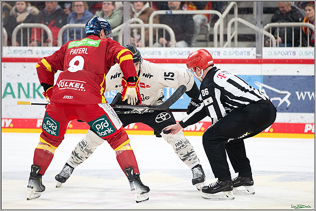 PENNY DEL; Duesseldorfer EG- Koelner Haie; Duesseldorf, 25.02.2024