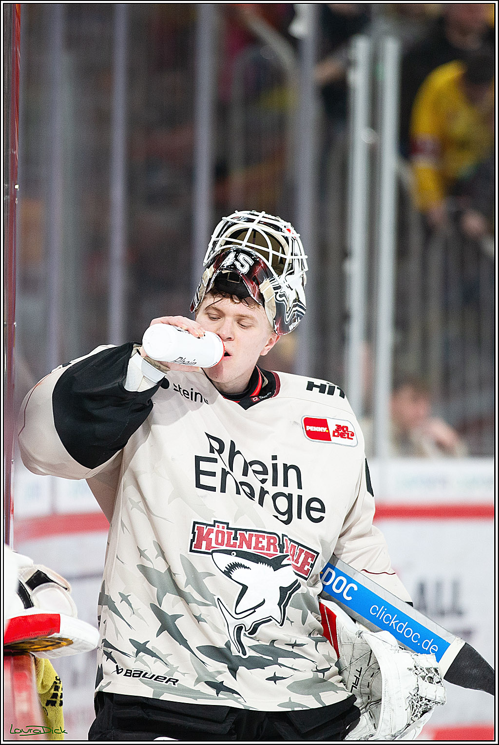 PENNY DEL; Duesseldorfer EG- Koelner Haie; Duesseldorf, 25.02.2024