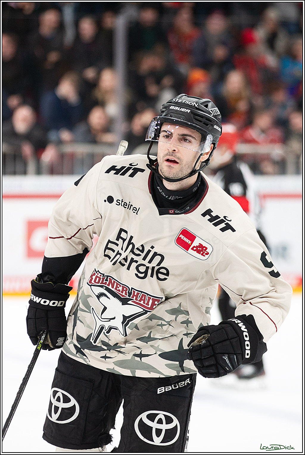 PENNY DEL; Duesseldorfer EG- Koelner Haie; Duesseldorf, 25.02.2024