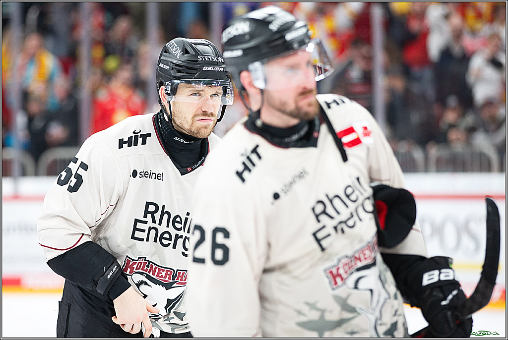 PENNY DEL; Duesseldorfer EG- Koelner Haie; Duesseldorf, 25.02.2024
