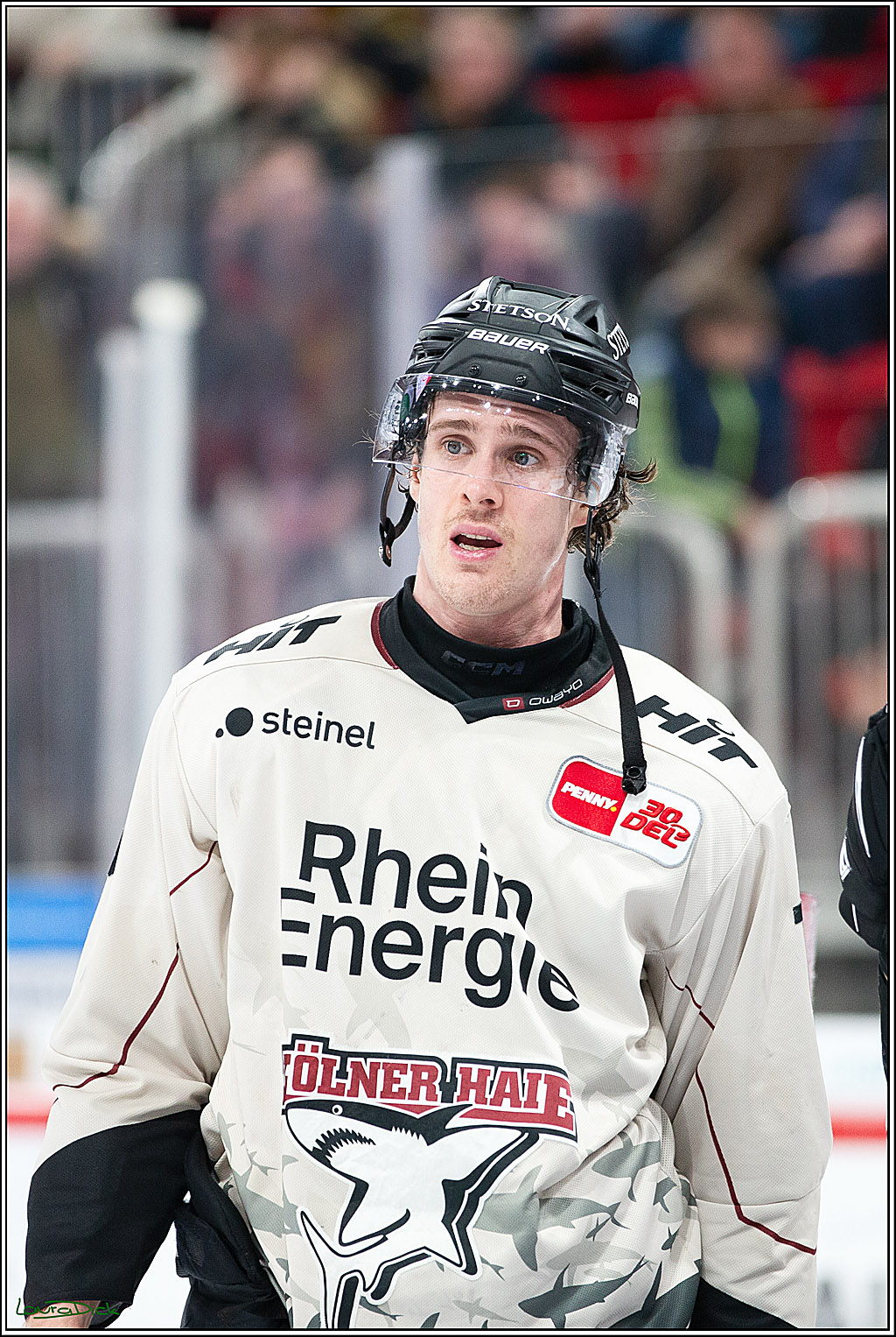 PENNY DEL; Duesseldorfer EG- Koelner Haie; Duesseldorf, 25.02.2024