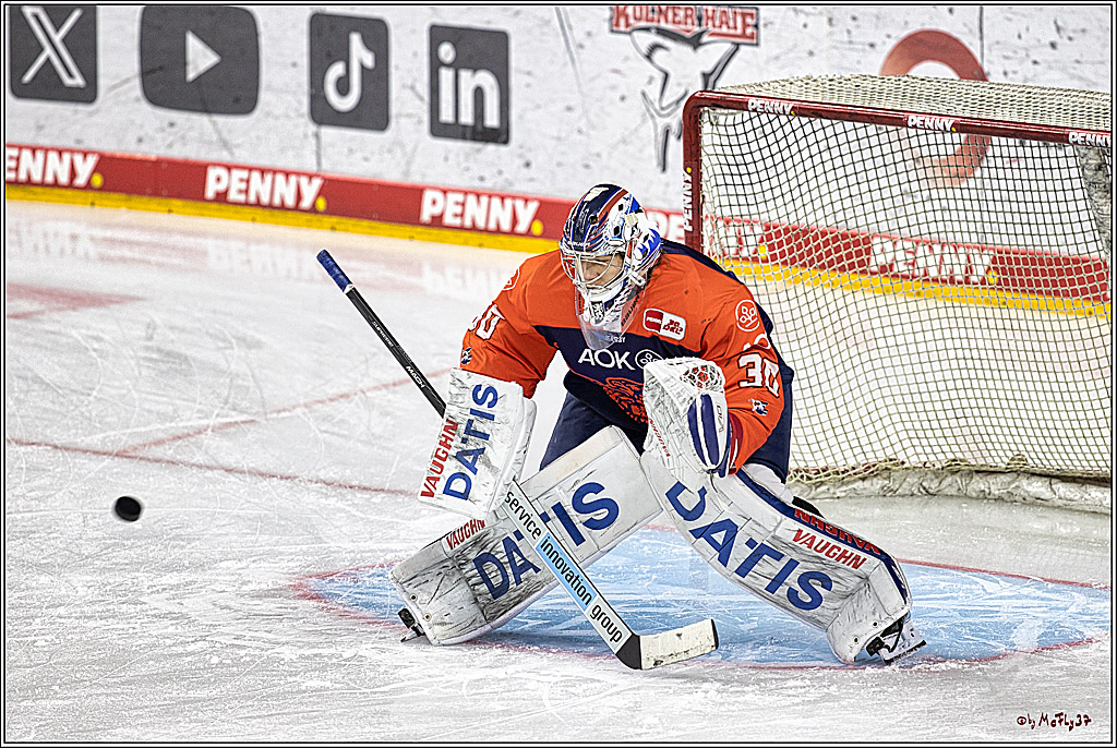 PENNY DEL: Kölner Haie - Adler Mannheim; Köln, 08.03.2024