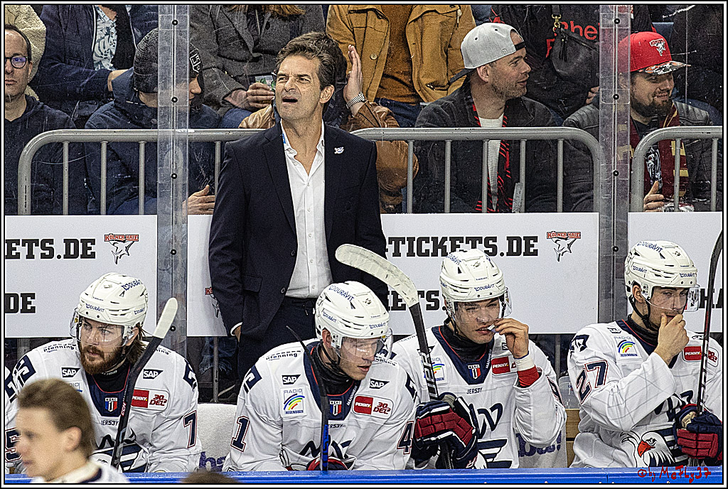 PENNY DEL: Kölner Haie - Adler Mannheim; Köln, 08.03.2024
