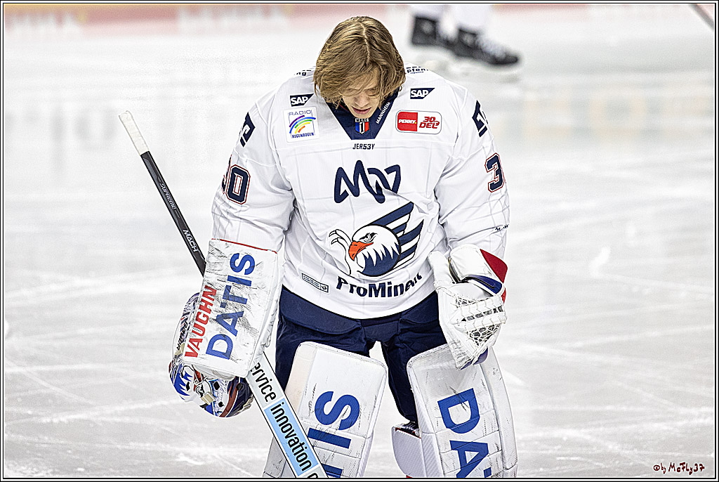 PENNY DEL: Kölner Haie - Adler Mannheim; Köln, 08.03.2024