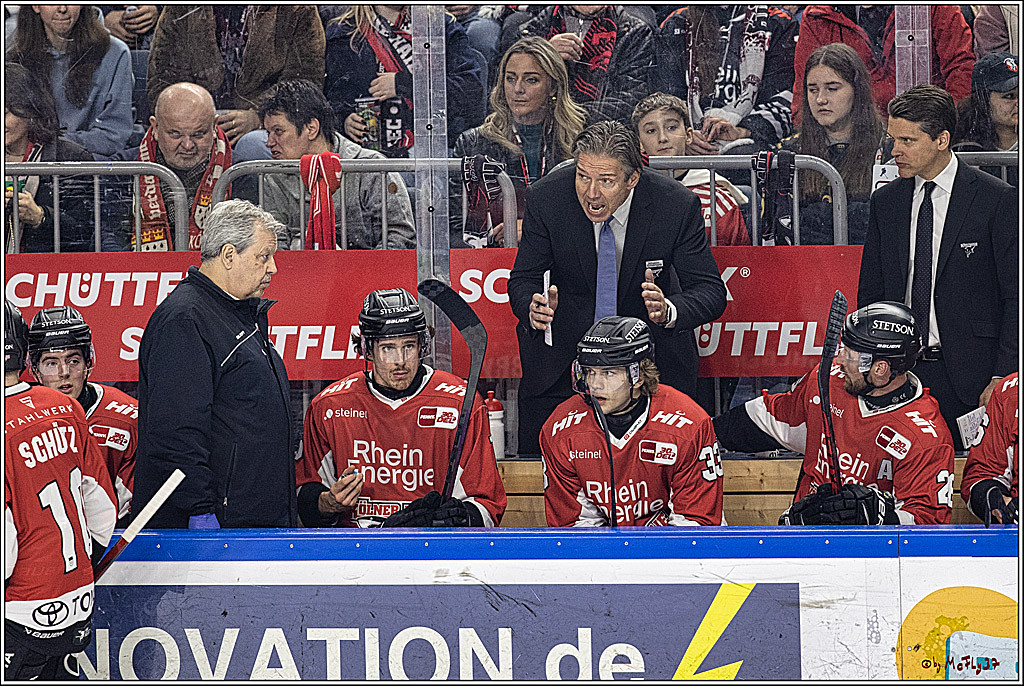 PENNY DEL: Kölner Haie - Adler Mannheim; Köln, 08.03.2024