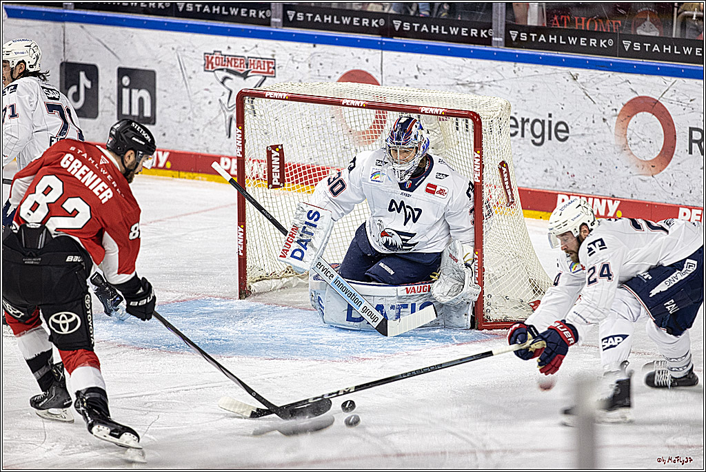 PENNY DEL: Kölner Haie - Adler Mannheim; Köln, 08.03.2024