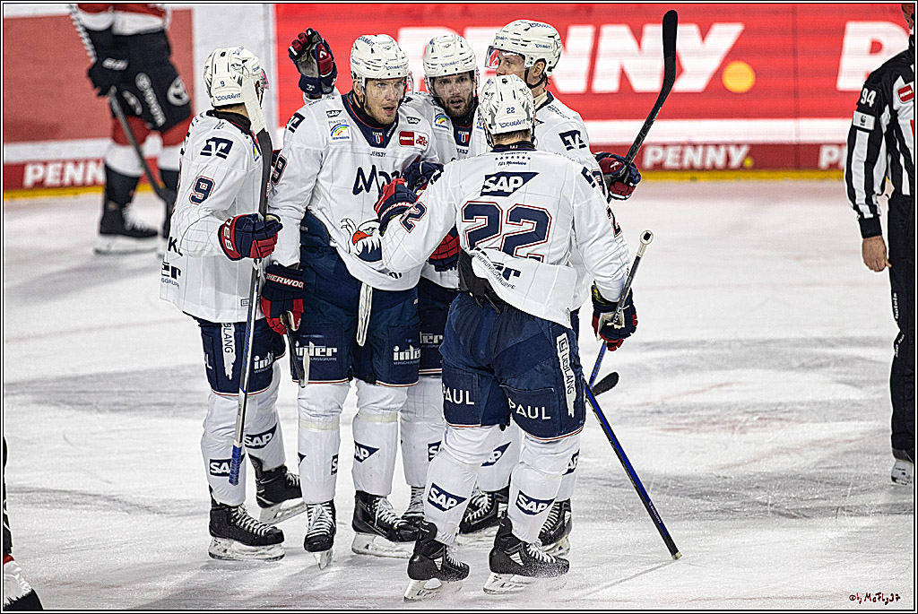 PENNY DEL: Kölner Haie - Adler Mannheim; Köln, 08.03.2024