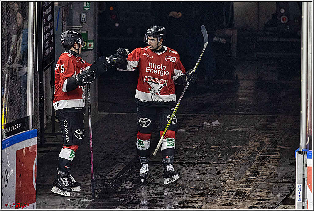 PENNY DEL: Kölner Haie - Adler Mannheim; Köln, 08.03.2024