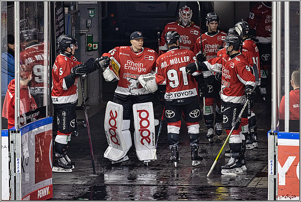 PENNY DEL: Kölner Haie - Adler Mannheim; Köln, 08.03.2024