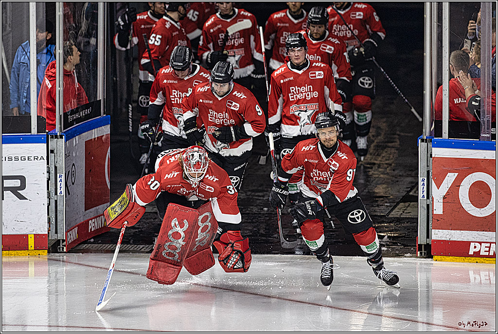 PENNY DEL: Kölner Haie - Adler Mannheim; Köln, 08.03.2024