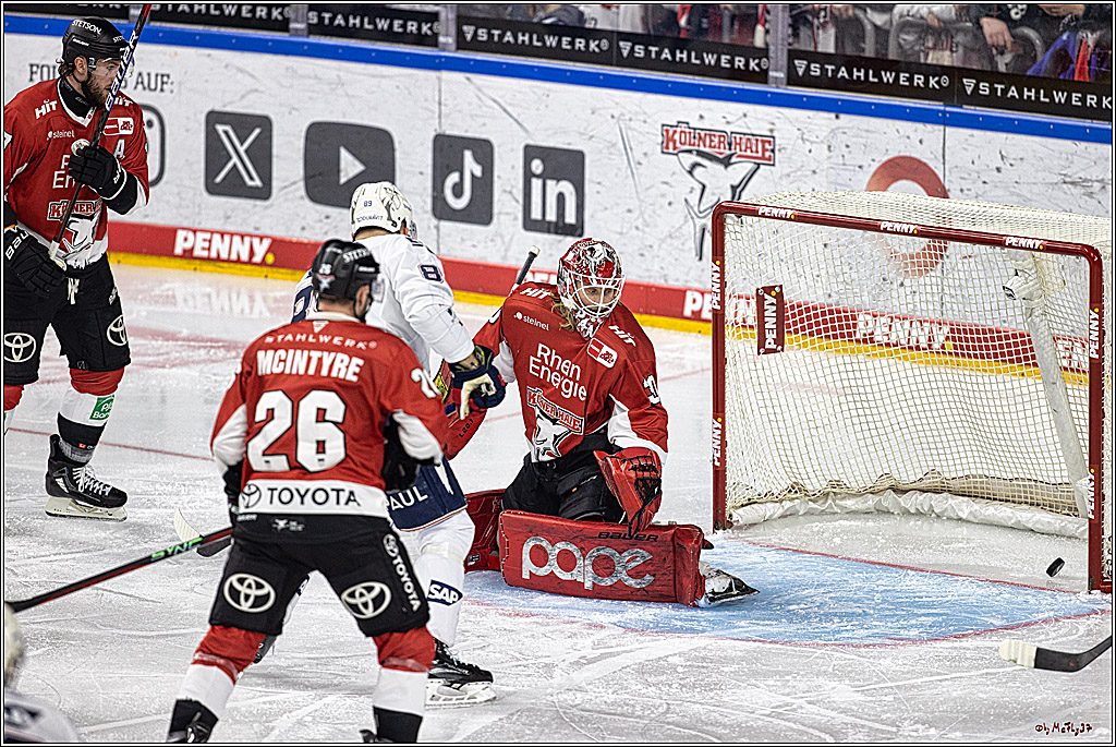 PENNY DEL: Kölner Haie - Adler Mannheim; Köln, 08.03.2024