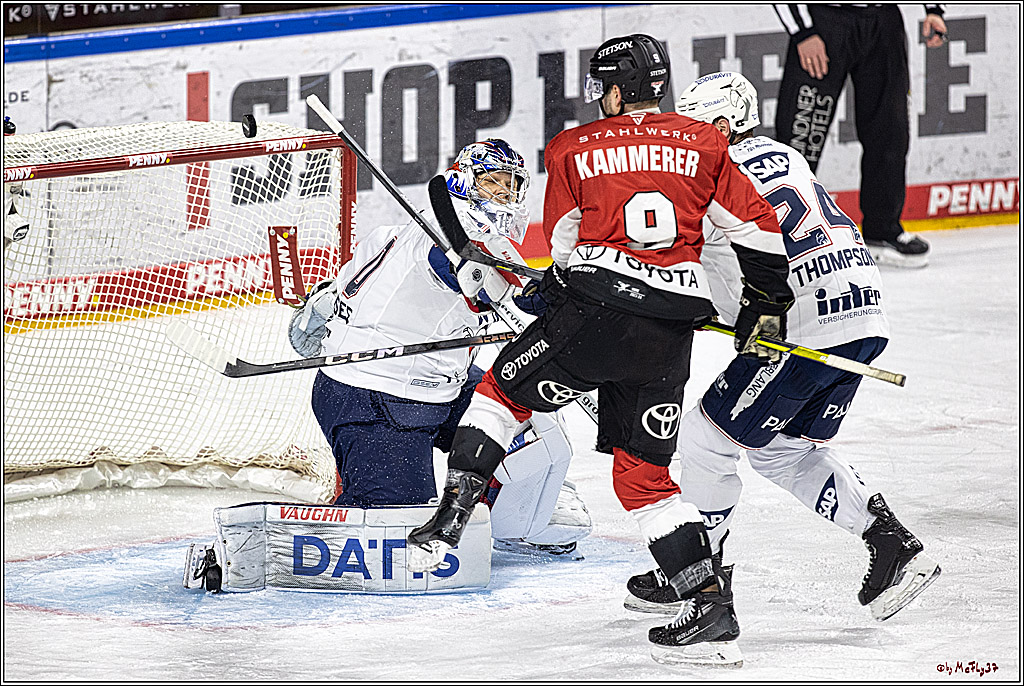 PENNY DEL: Kölner Haie - Adler Mannheim; Köln, 08.03.2024