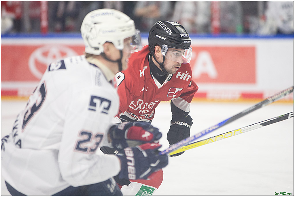 PENNY DEL; Koelner Haie- Adler Mannheim; Koeln, 08.03.2024