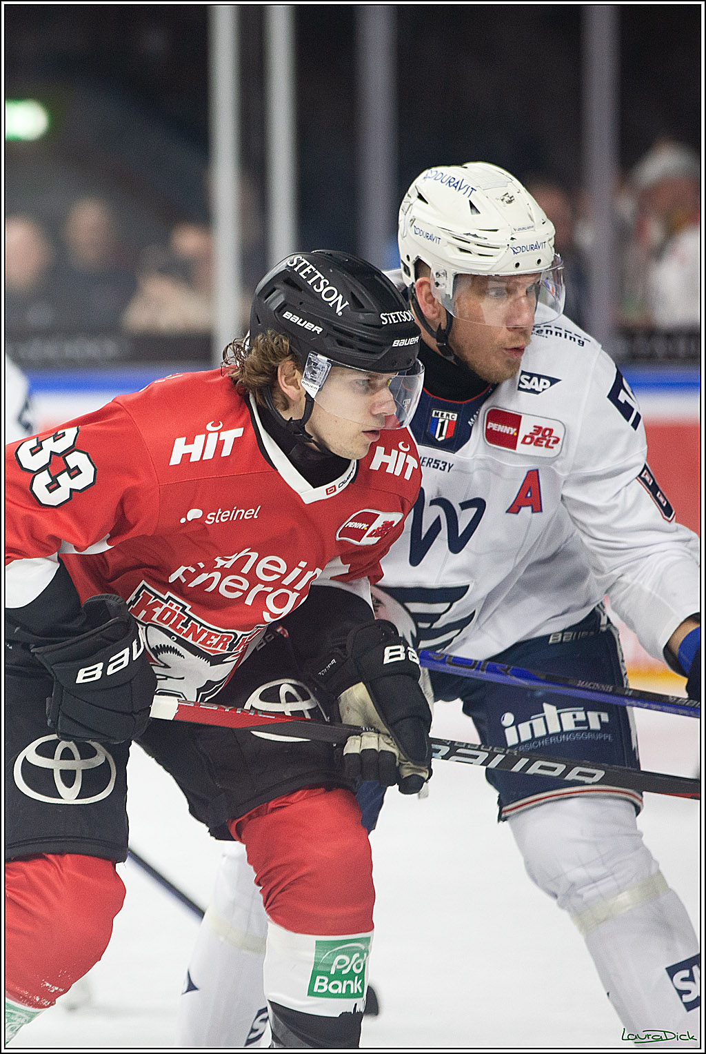 PENNY DEL; Koelner Haie- Adler Mannheim; Koeln, 08.03.2024